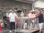 湖南女子浸猪笼后续！知情人透露线人全部被抓